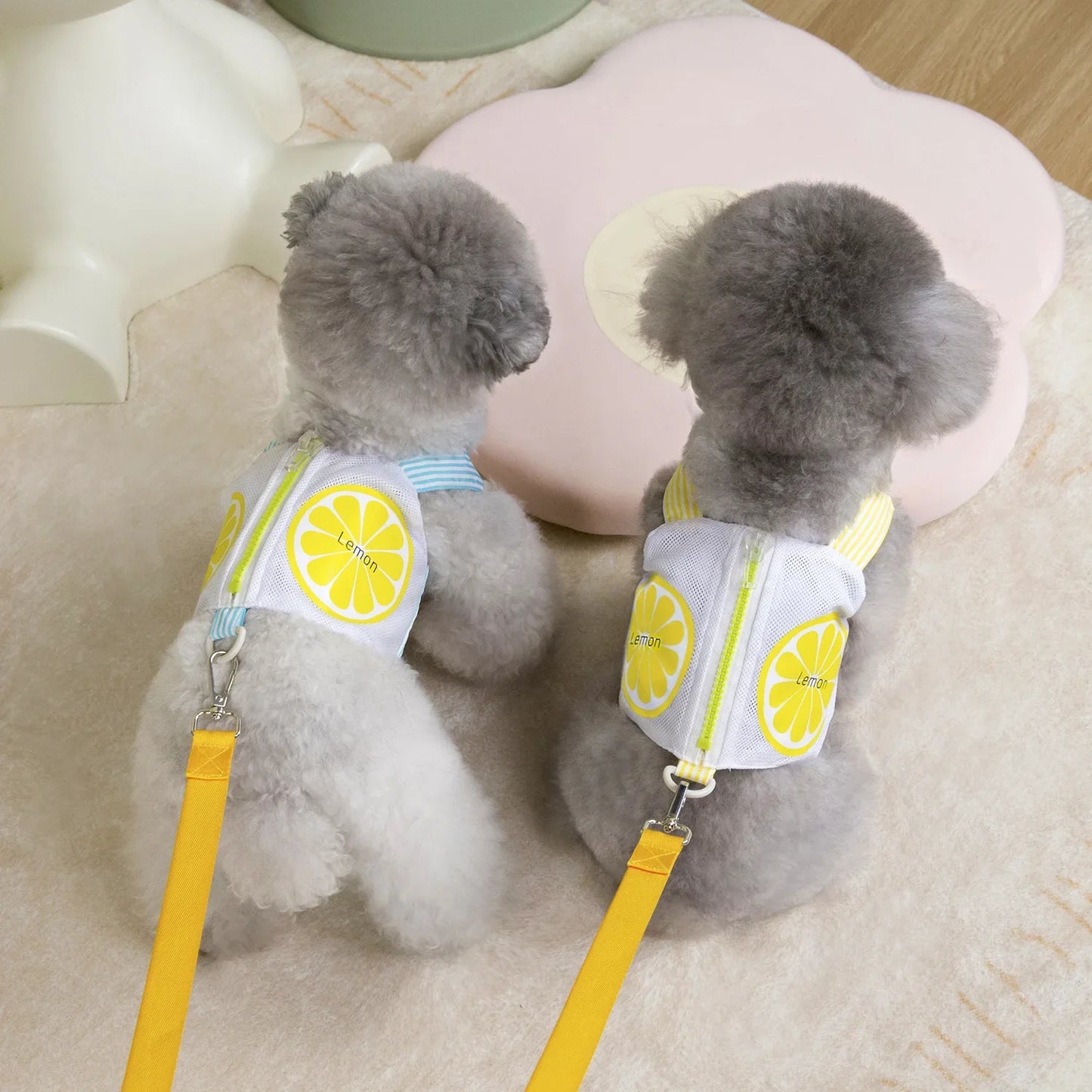 Pet Dog Harness Vest Summer Breathable Puppy Accessories Blue Yellow Dog Harnesses With Leash Kitten Chest Strap Leash Set XXL
