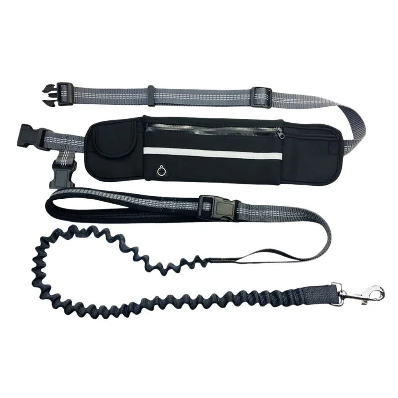 Hands Free Dog Leash with Zipper Pouch Reflective Bungee for Medium to Large Dogs Walking Jogging and Running