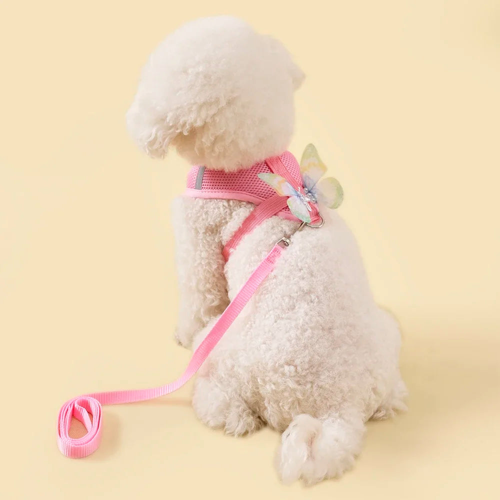 Butterfly Cute Breathable Dog Harness Set for Small Dogs Cat Puppy Chest Vest Leash Outdoor Walking Pet Accessories Summer
