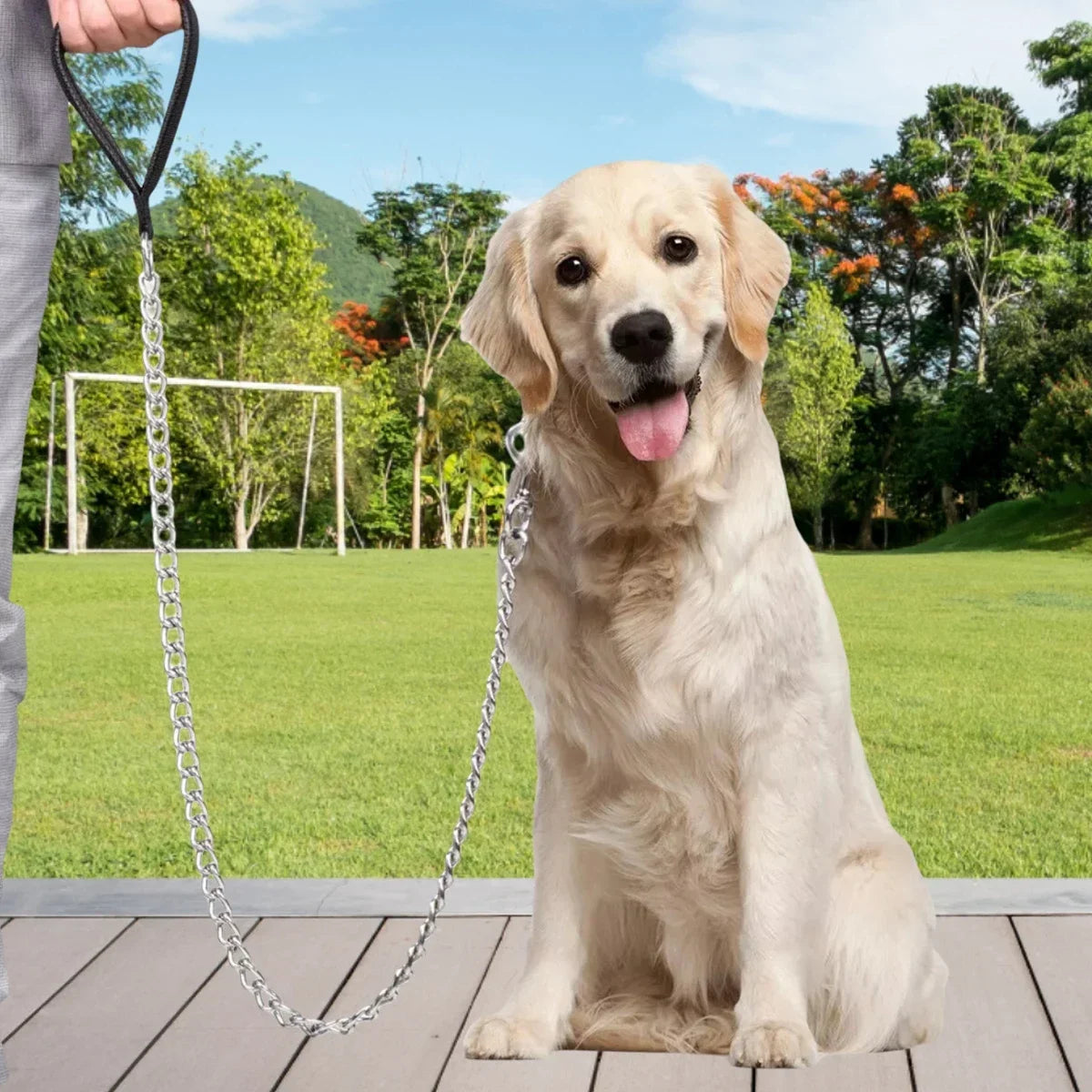 1Pcs Metal Chain Dog Lead With Leather Handle Control Leash Iron Dog Pets Supplies Collars Harnesses