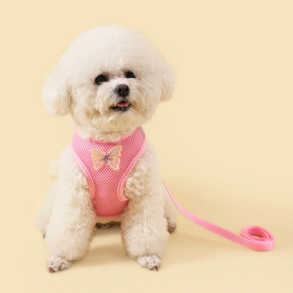 Butterfly Cute Breathable Dog Harness Set for Small Dogs Cat Puppy Chest Vest Leash Outdoor Walking Pet Accessories Summer