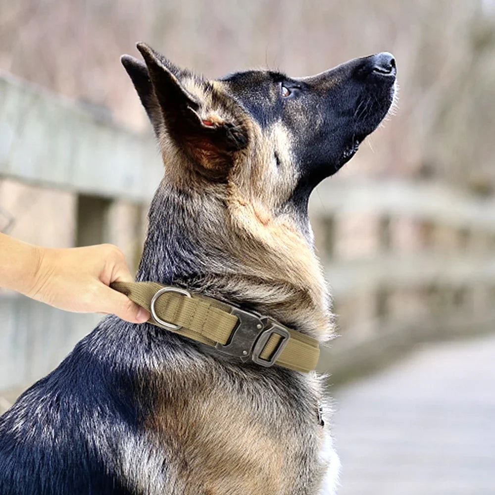 Durable Tactical Dog Collar and Leash Adjustable Military Pet Collar Leash Medium Large Dog German Shepherd Training Accessories