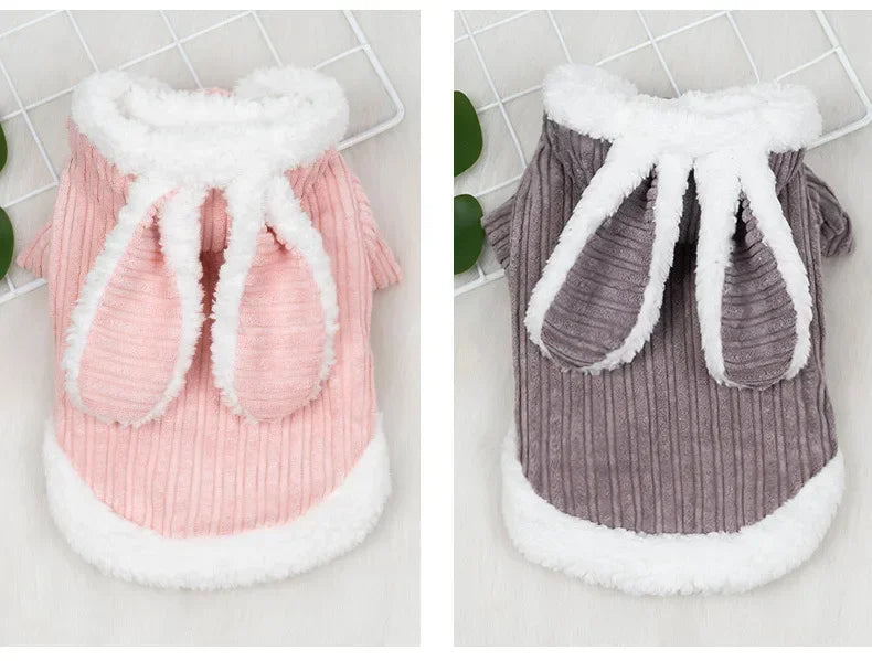 Warm Winter Clothes for Kittens Cute Bunny Appearance Cat Clothes Puppy Cute Coat Cats Dog Supplies Pet Products Home Garden