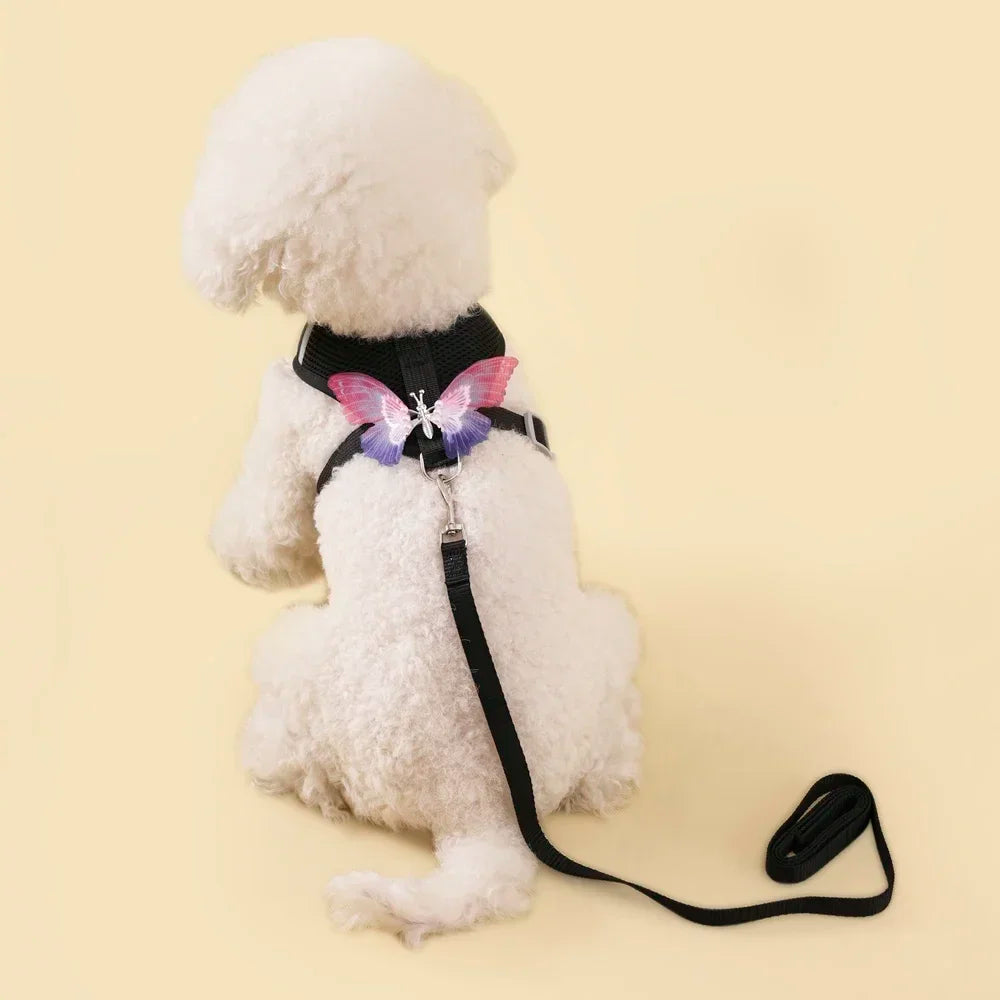 Butterfly Cute Breathable Dog Harness Set for Small Dogs Cat Puppy Chest Vest Leash Outdoor Walking Pet Accessories Summer