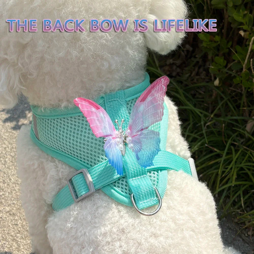 Butterfly Cute Breathable Dog Harness Set for Small Dogs Cat Puppy Chest Vest Leash Outdoor Walking Pet Accessories Summer