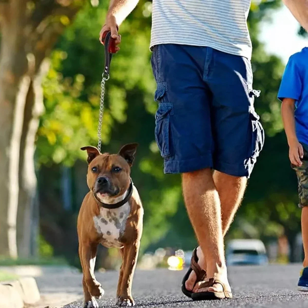 1Pcs Metal Chain Dog Lead With Leather Handle Control Leash Iron Dog Pets Supplies Collars Harnesses
