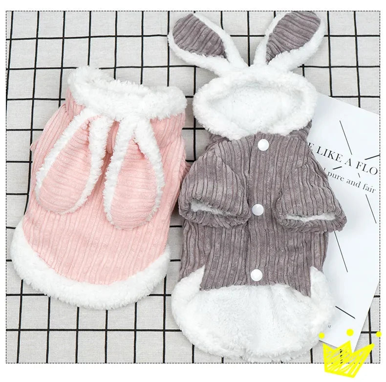 Warm Winter Clothes for Kittens Cute Bunny Appearance Cat Clothes Puppy Cute Coat Cats Dog Supplies Pet Products Home Garden