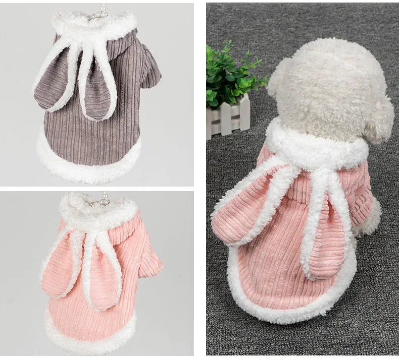 Warm Winter Clothes for Kittens Cute Bunny Appearance Cat Clothes Puppy Cute Coat Cats Dog Supplies Pet Products Home Garden