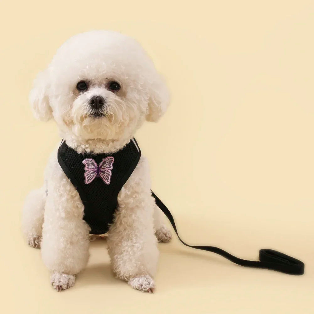Butterfly Cute Breathable Dog Harness Set for Small Dogs Cat Puppy Chest Vest Leash Outdoor Walking Pet Accessories Summer