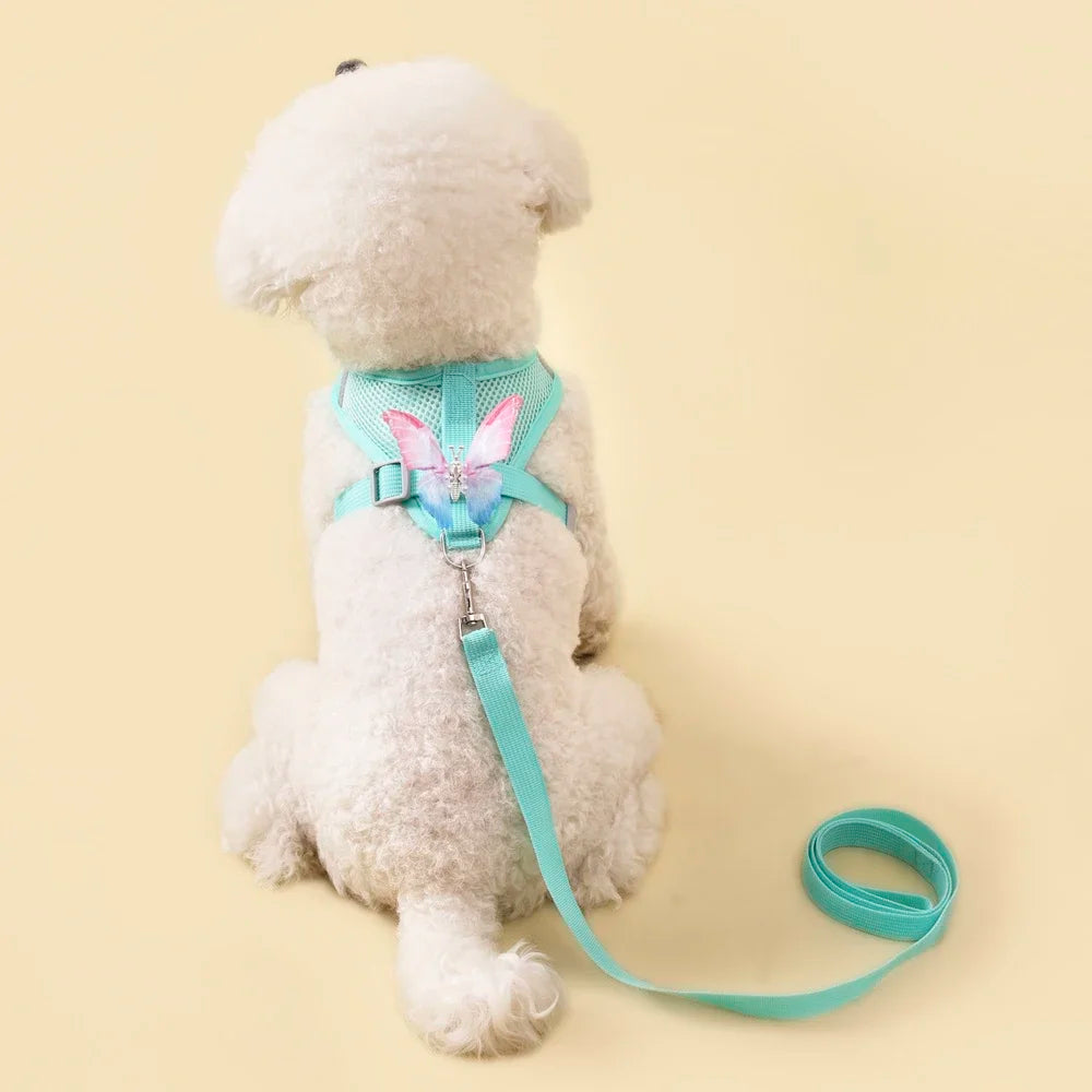 Butterfly Cute Breathable Dog Harness Set for Small Dogs Cat Puppy Chest Vest Leash Outdoor Walking Pet Accessories Summer