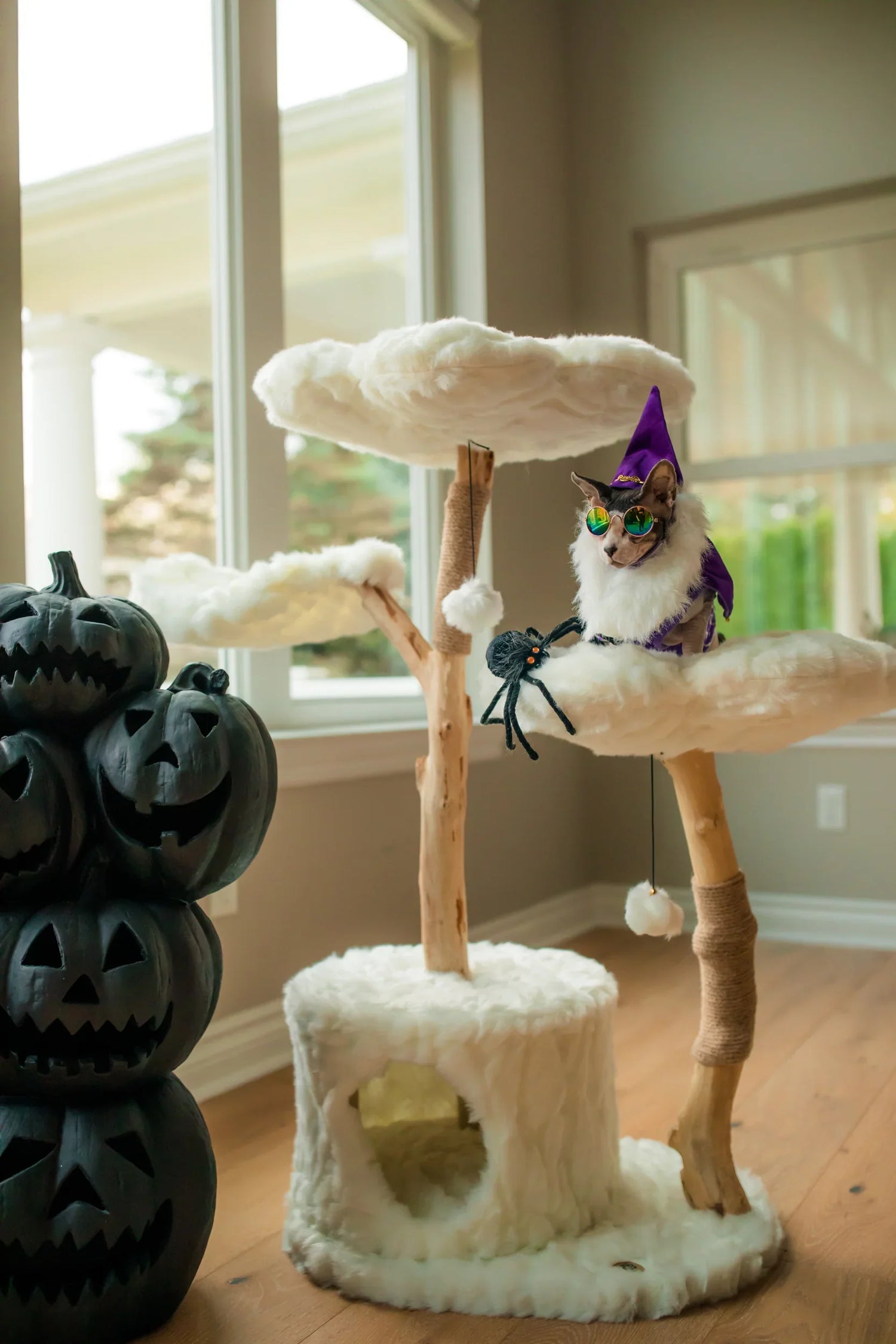 Cat Towers