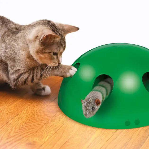 Cat Toys