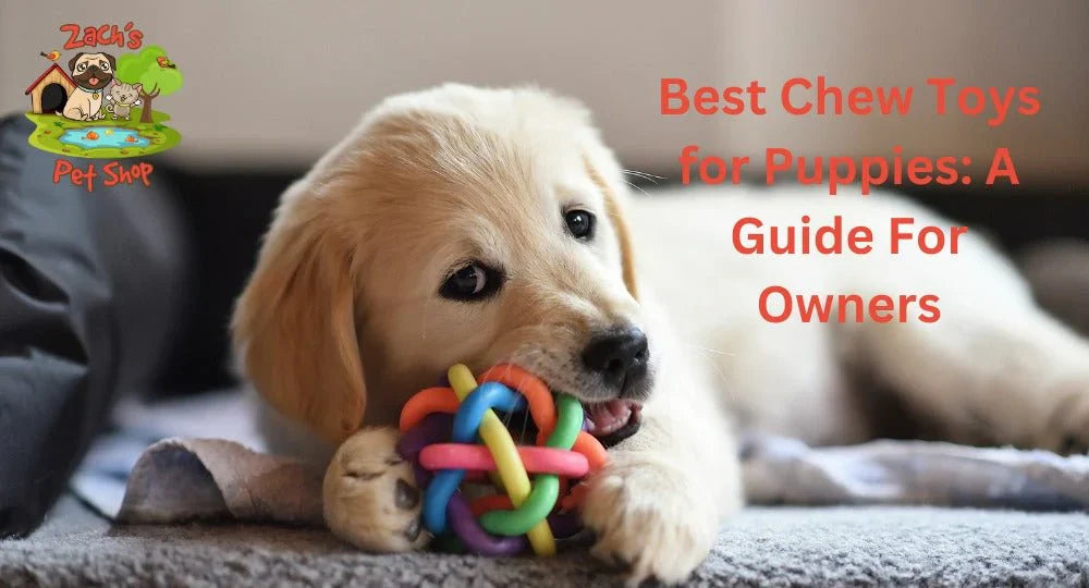 Chew Toys