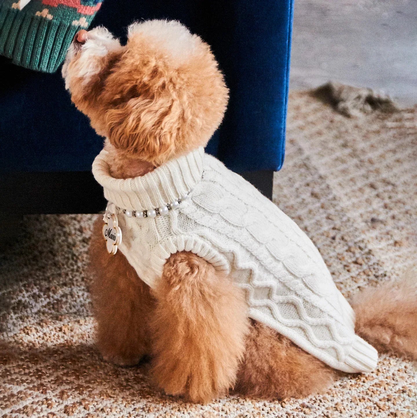 Pet Sweater
