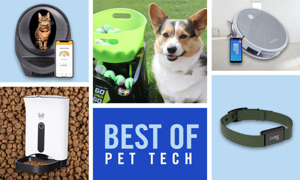 Pet Technology