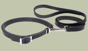 Collars & Leashes