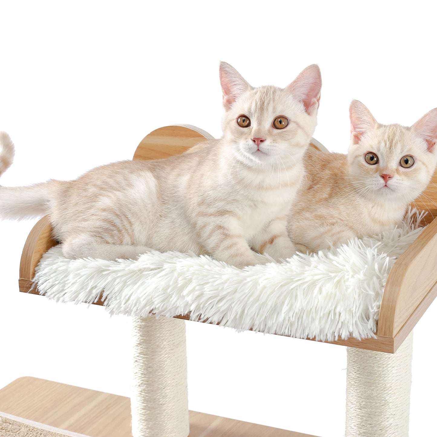 Wood Cat Scratcher Luxury Cat Tree Condo Kitten Nest Climbing Tower with Scratching Post Cat Toys Playing Platform House