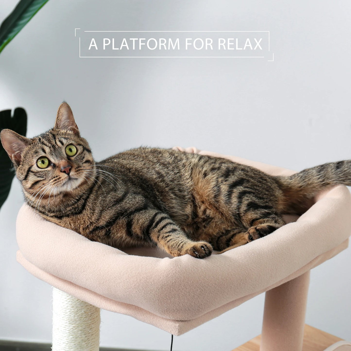 Wood Cat Scratcher Luxury Cat Tree Condo Kitten Nest Climbing Tower with Scratching Post Cat Toys Playing Platform House