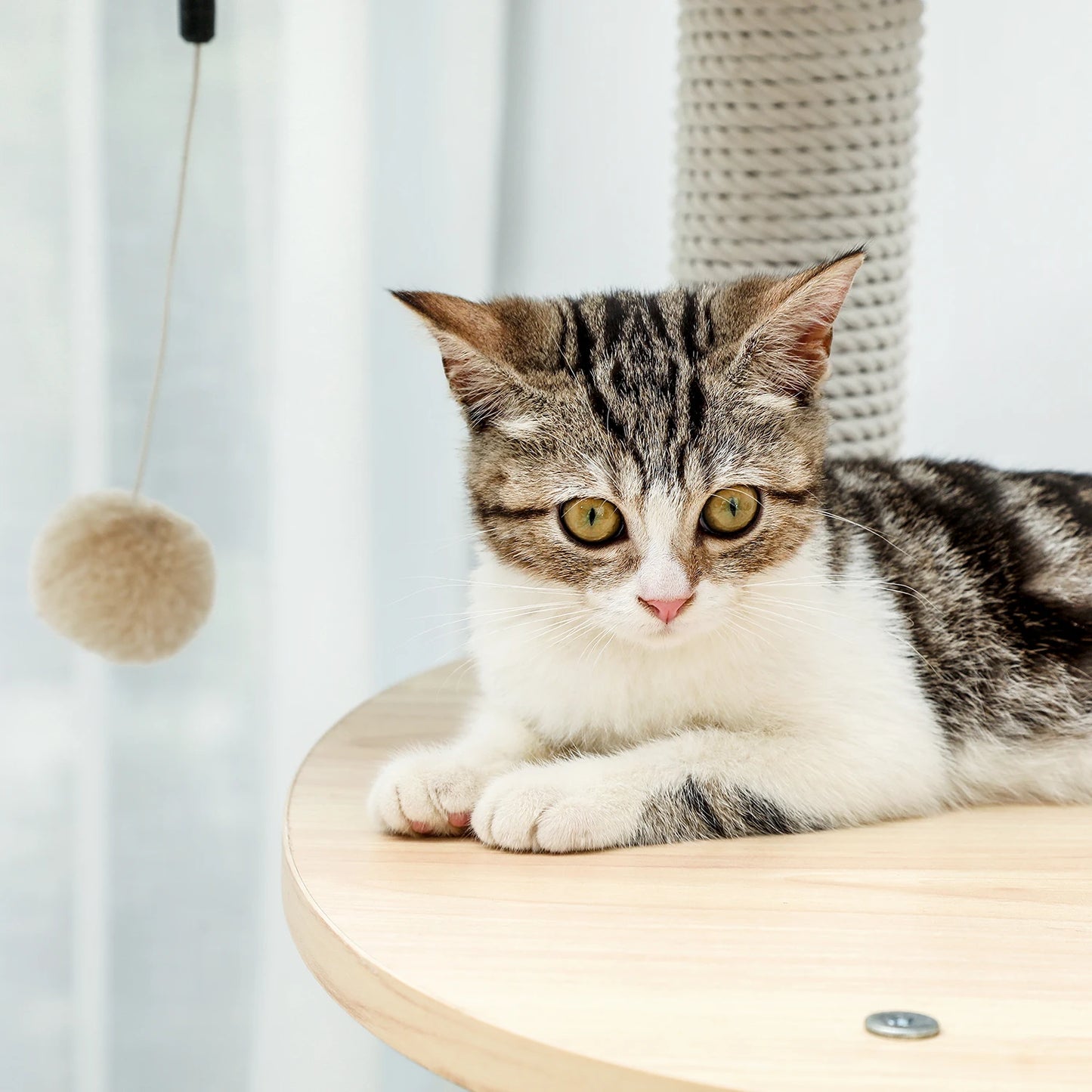 Wood Cat Scratcher Luxury Cat Tree Condo Kitten Nest Climbing Tower with Scratching Post Cat Toys Playing Platform House