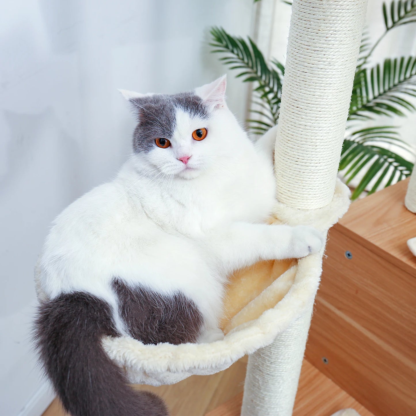 Wood Cat Scratcher Luxury Cat Tree Condo Kitten Nest Climbing Tower with Scratching Post Cat Toys Playing Platform House
