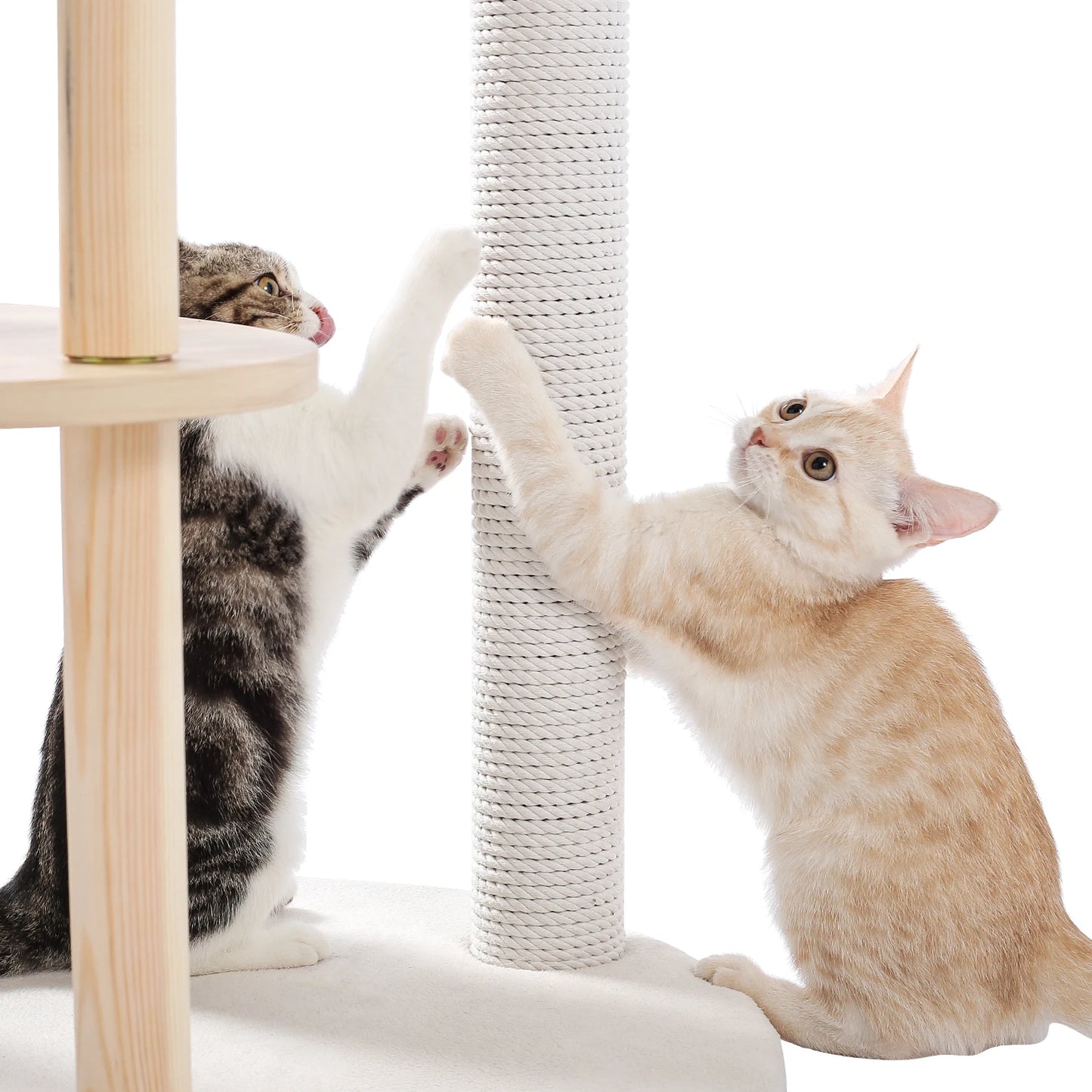 Wood Cat Scratcher Luxury Cat Tree Condo Kitten Nest Climbing Tower with Scratching Post Cat Toys Playing Platform House
