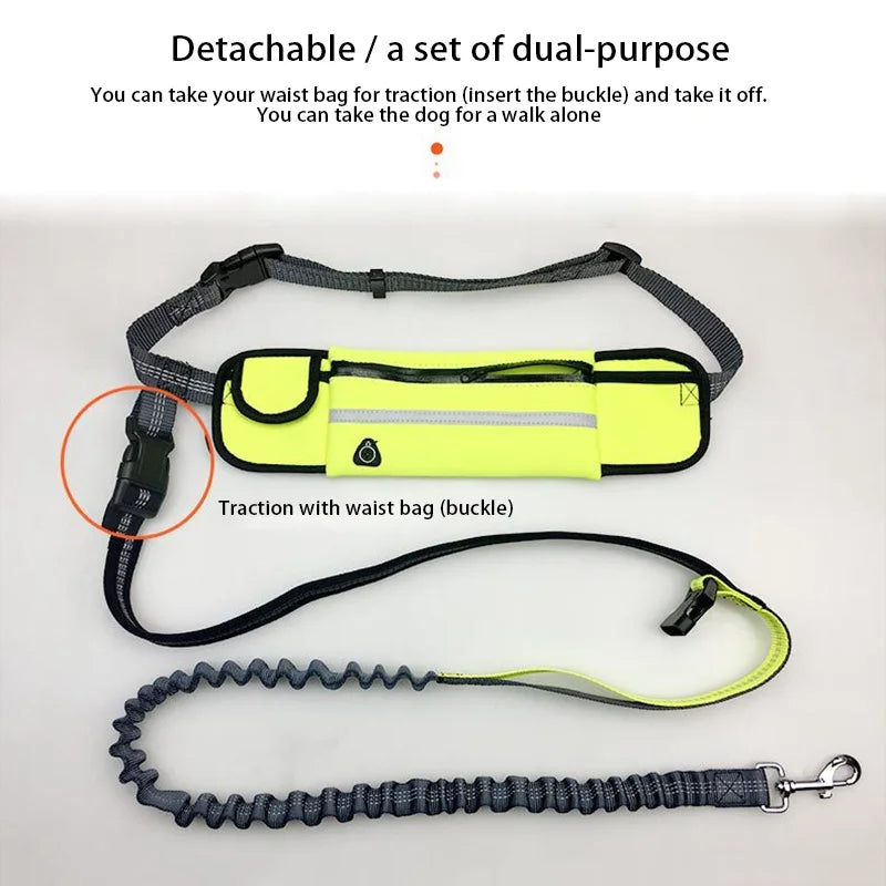 Hands Free Dog Leash with Zipper Pouch Reflective Bungee for Medium to Large Dogs Walking Jogging and Running