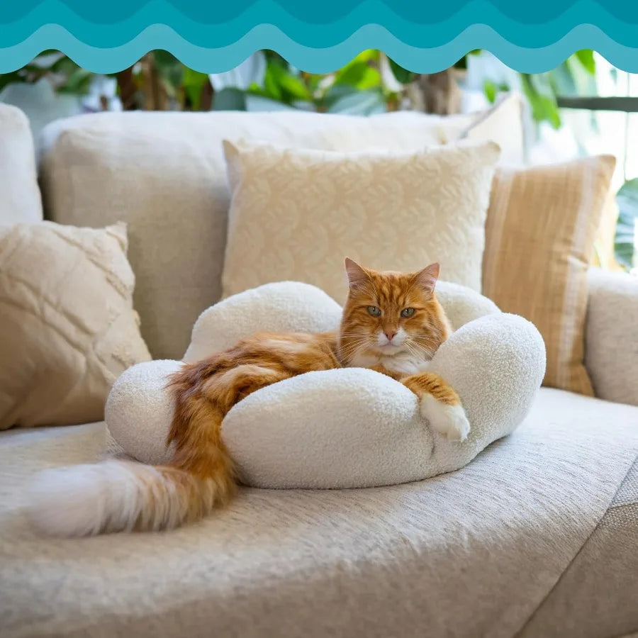 Purrfect Petals Flower Cat Bed with Plush Support and Raised Sides in White 21 Inches Ideal for Cats and Kittens Provides Secur
