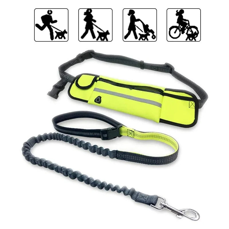Hands Free Dog Leash with Zipper Pouch Reflective Bungee for Medium to Large Dogs Walking Jogging and Running