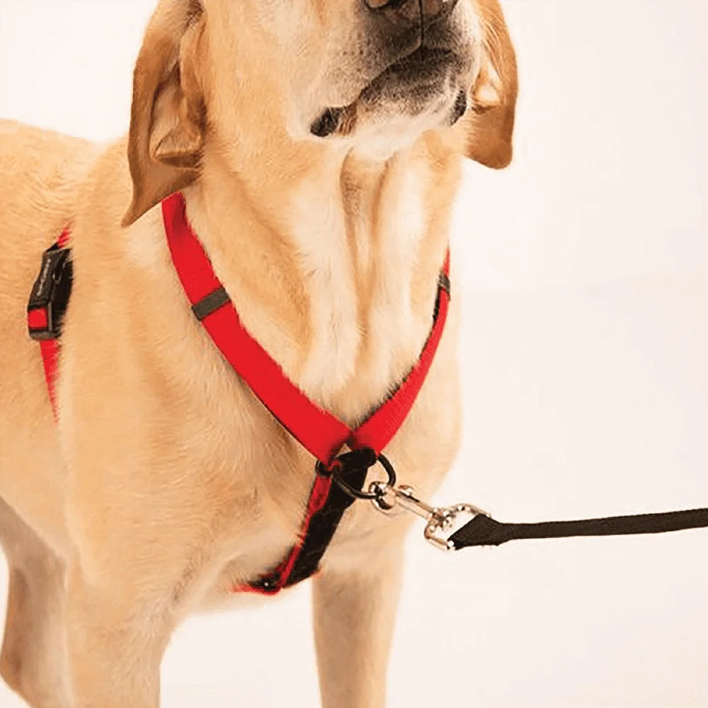 Ultimate Control Dog Harness Adjustable Multi-Functional Front Rear Pull Control Padded Handle Detachable Leash Extension