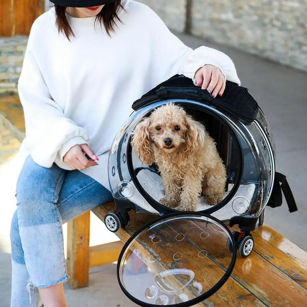 Pet Trolley Case Clear Ventilation Holes Silent Wheels Convenient Portable Cats Dogs Backpack Clear Window Pet Trolley Case