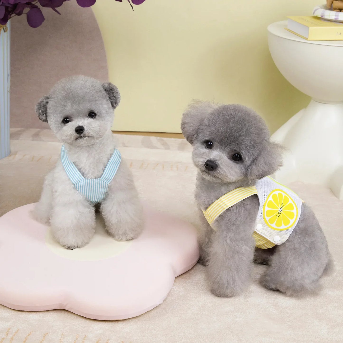Pet Dog Harness Vest Summer Breathable Puppy Accessories Blue Yellow Dog Harnesses With Leash Kitten Chest Strap Leash Set XXL