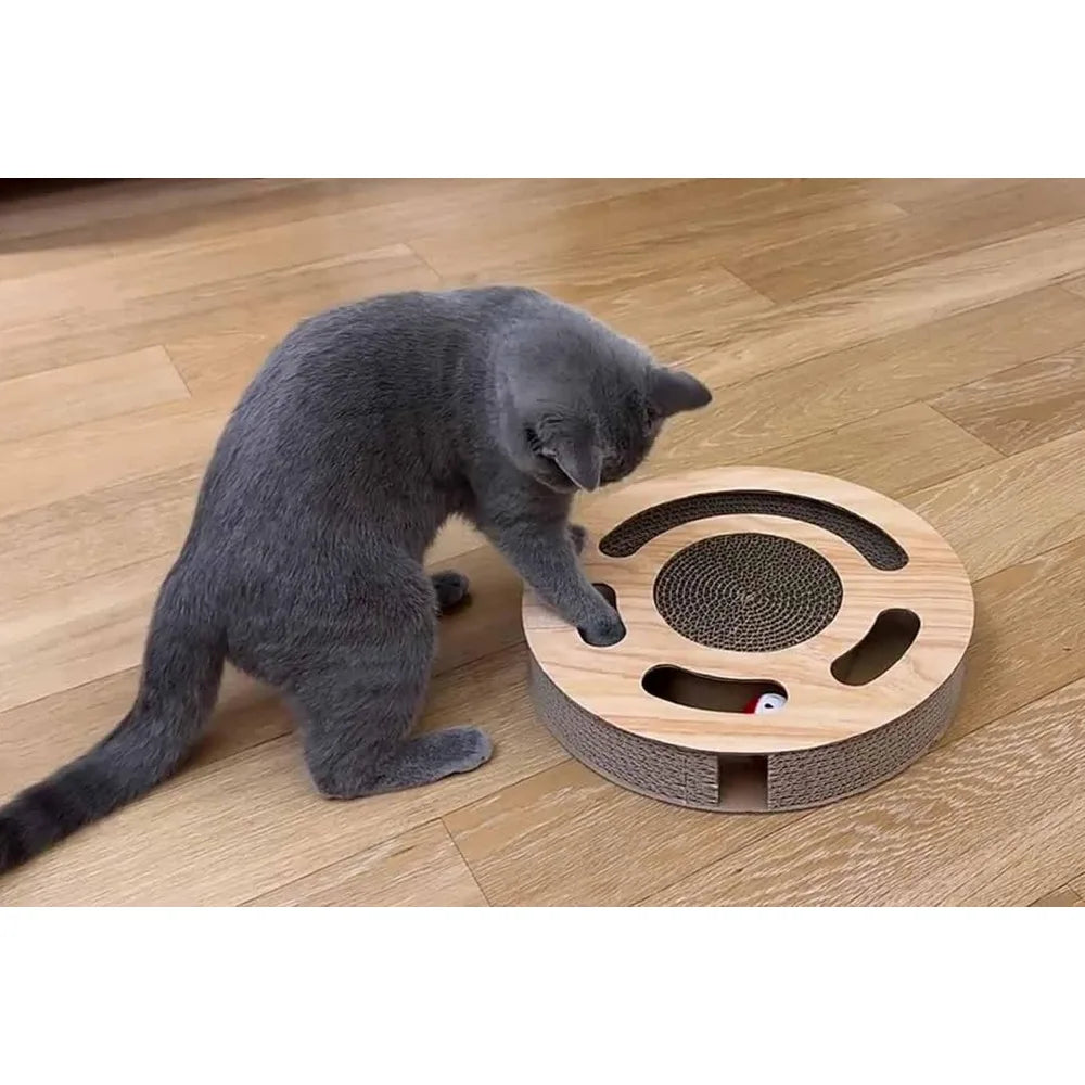 Cat Toy 3in 1 Kitten Puzzles Toys for Bored Indoor Cats with Cardboard and 2 Bell Balls Round Cats Scratcher