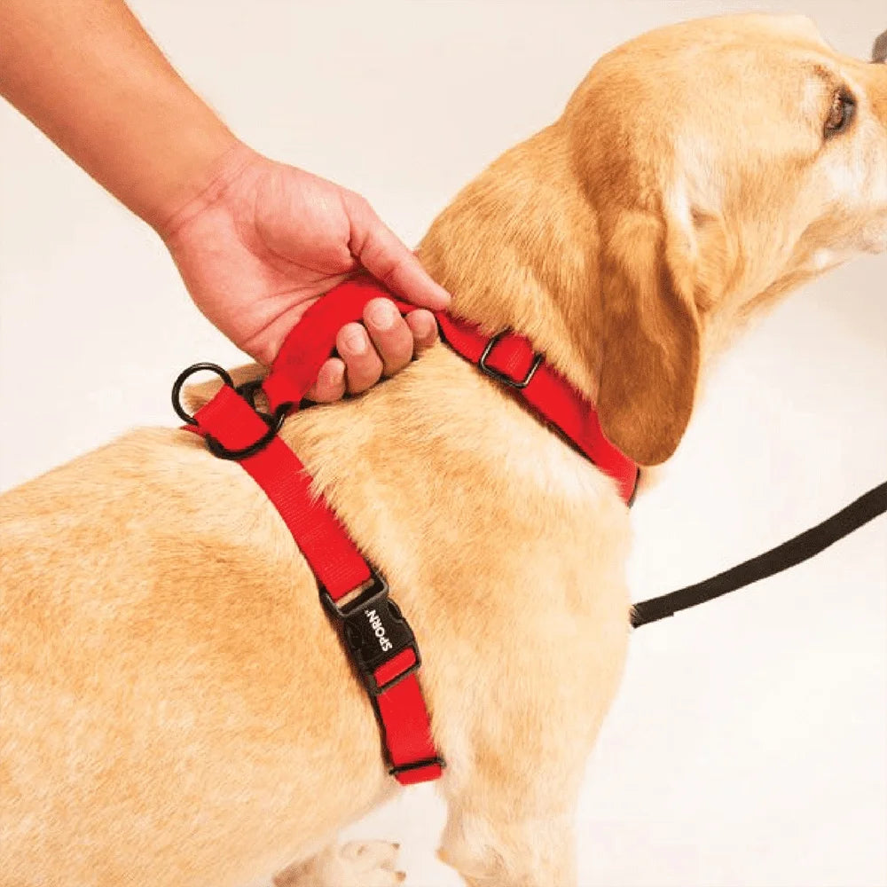 Ultimate Control Dog Harness Adjustable Multi-Functional Front Rear Pull Control Padded Handle Detachable Leash Extension