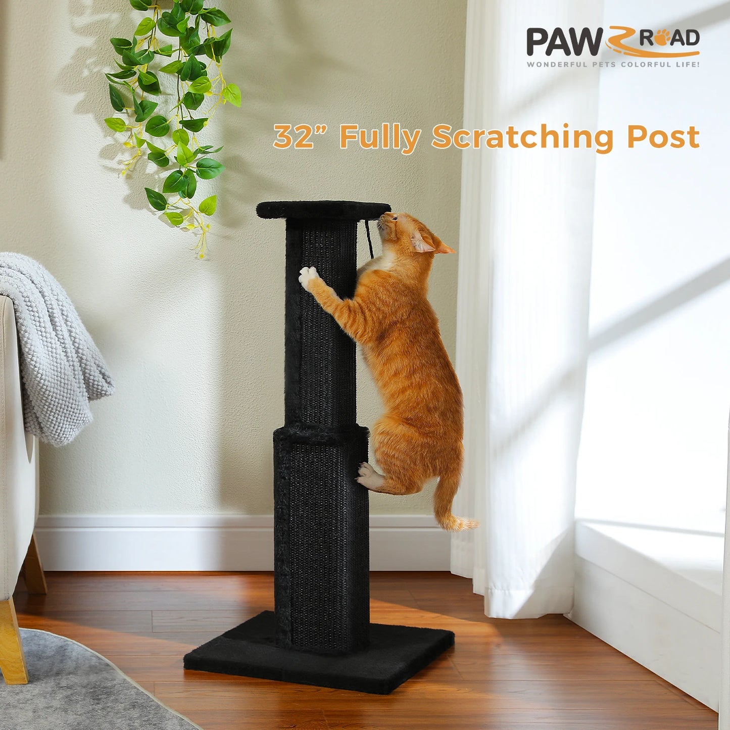 80CM Cat Scratching Post for Indoor Cat Scratcher with Nature Sisal Ball Tall Scratching Post for Large Cats Kitten Pet Toys