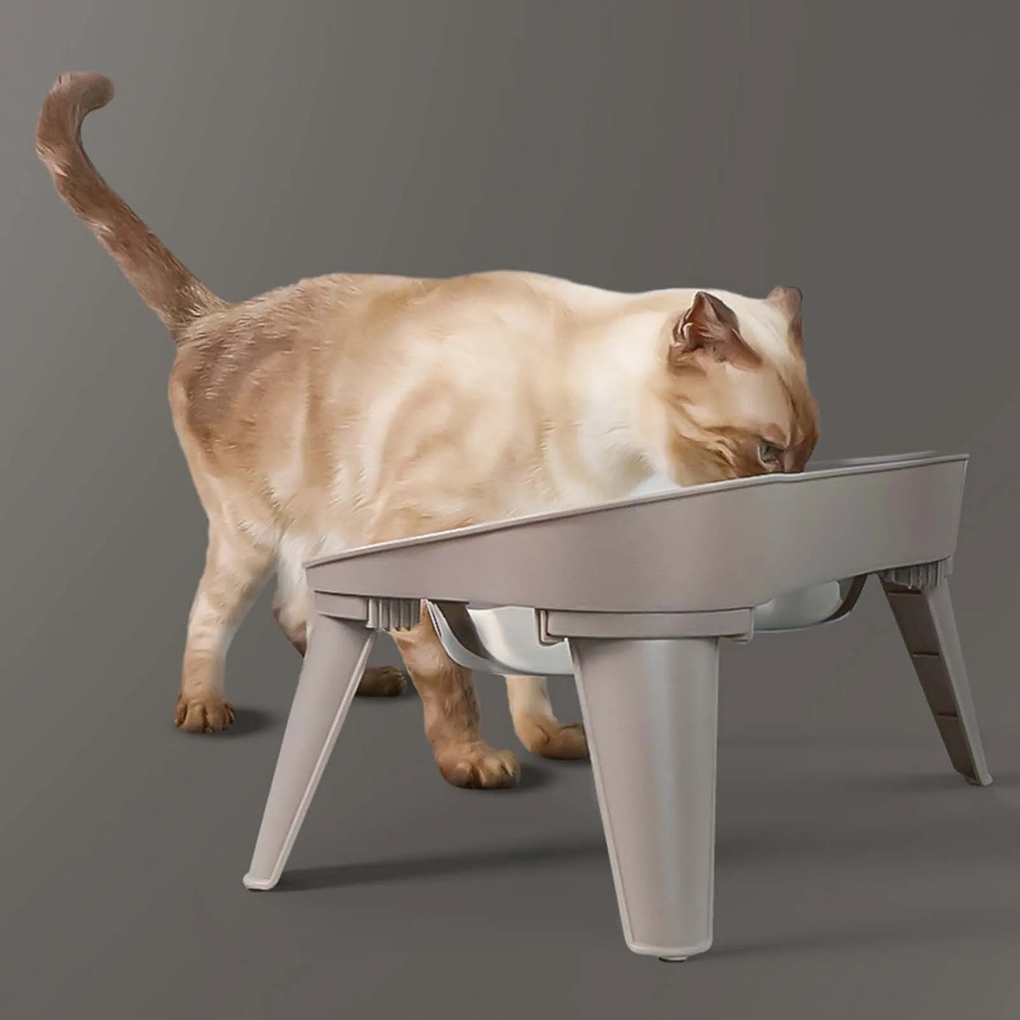 Stainless Steel Elevated Pet Bowl for Dogs and Cats Anti-Slip Raised Food Dish with Non-Skid Base High Sided Pet Feeder