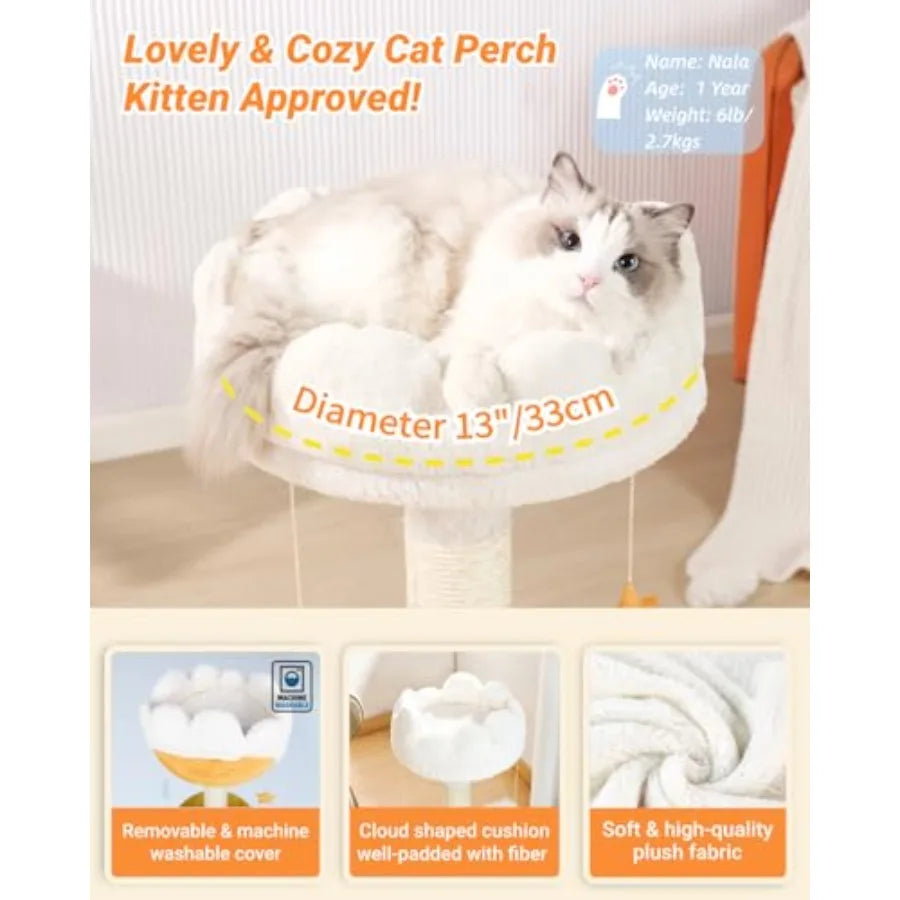 Cloud Cat Tree Cat Scratching Post with Bed Small Cat Tree for Kittens Cat Scratch Post with CloudShaped Soft Perch Cute Toys R