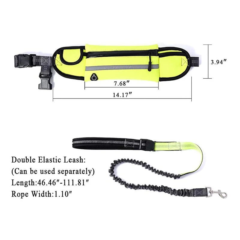Hands Free Dog Leash with Zipper Pouch Reflective Bungee for Medium to Large Dogs Walking Jogging and Running