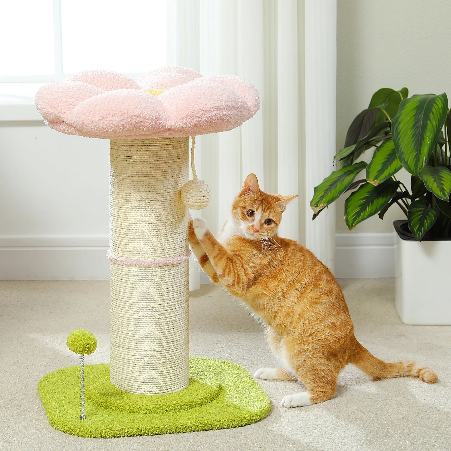 Flower Cat Scratching Post Small Cat Tree Tower Cat Scratcher for Indoor Cats with Super Thick Scratching Post Removable Cat Bed
