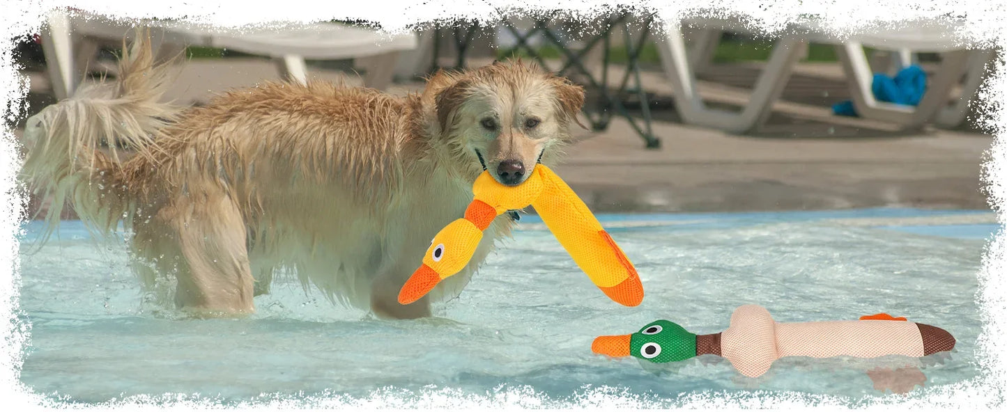 Floating Dog Water Pool Toys 2 packs - Suitable for medium/large-sized dogs, Duck-designed pool toys, summer dog toys