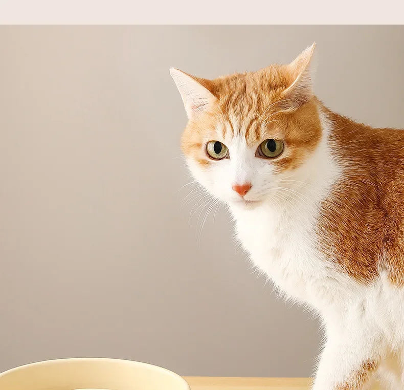 Ceramic Pet Cat Dog Bowl Small and Medium-Sized Dogs Dog Puppy Slow Feeding Anti-Choke Slow Food Bowl Anti-Tumble Eating Bowl
