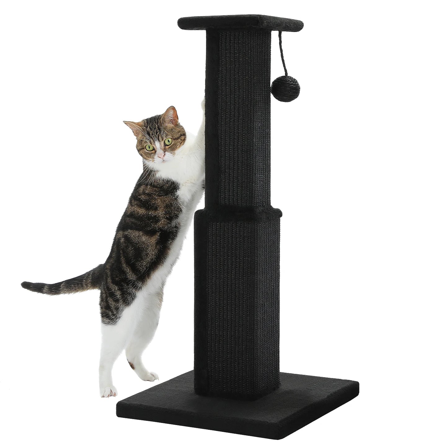 80CM Cat Scratching Post for Indoor Cat Scratcher with Nature Sisal Ball Tall Scratching Post for Large Cats Kitten Pet Toys