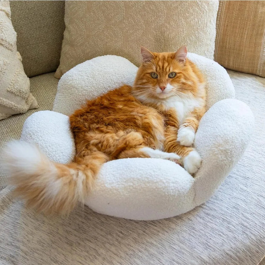 Purrfect Petals Flower Cat Bed with Plush Support and Raised Sides in White 21 Inches Ideal for Cats and Kittens Provides Secur
