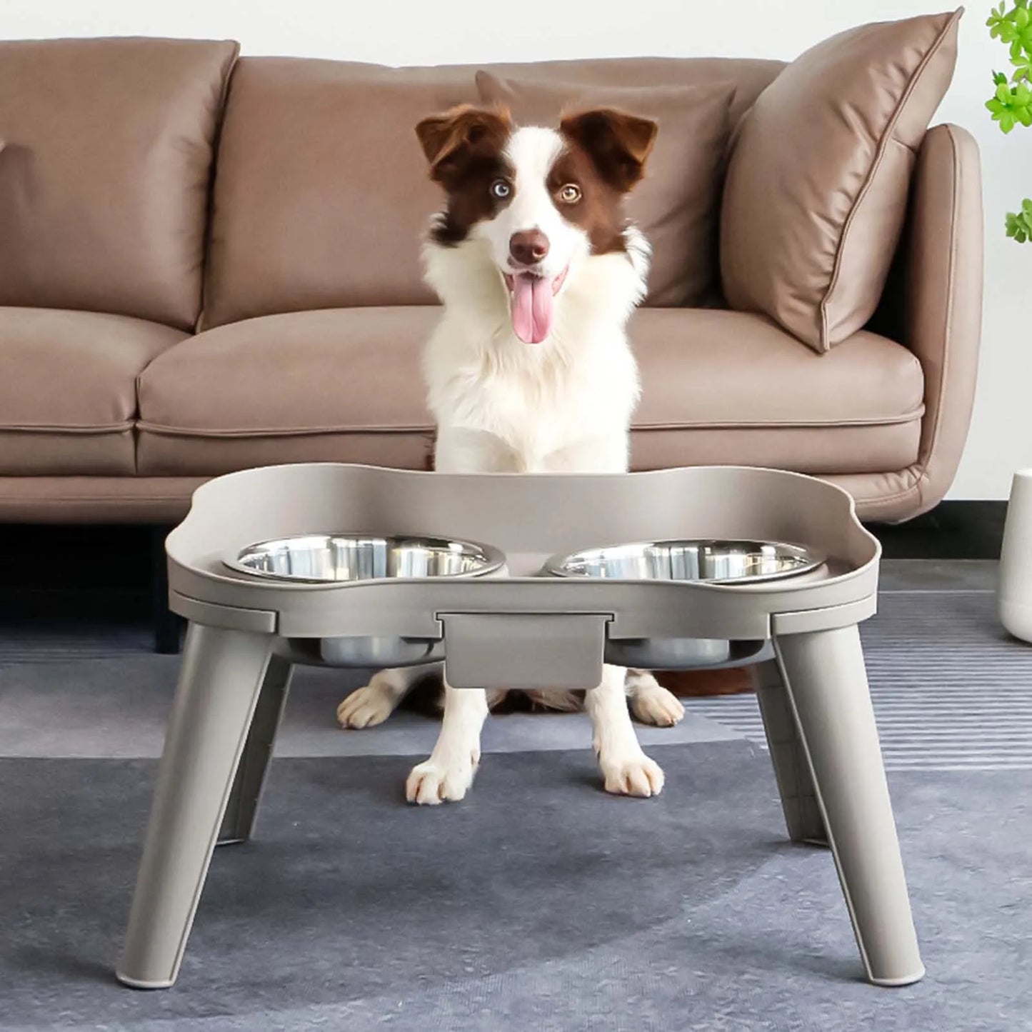 Stainless Steel Elevated Pet Bowl for Dogs and Cats Anti-Slip Raised Food Dish with Non-Skid Base High Sided Pet Feeder