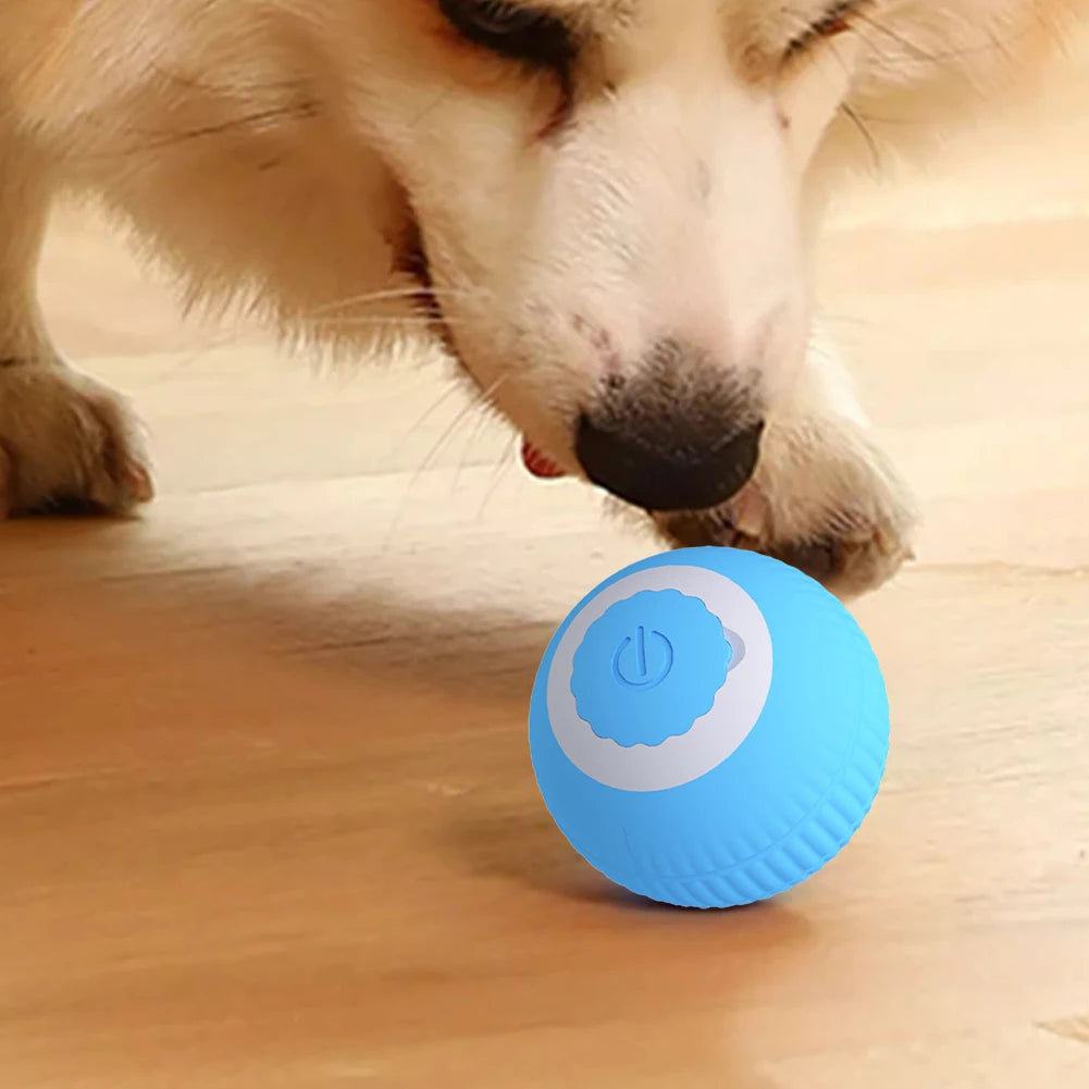 Electric Cat Ball Toys USB Rechargeable Smart Interactive Cat Toy for Cats Training Self-moving Kitten Toys for Indoor Playing