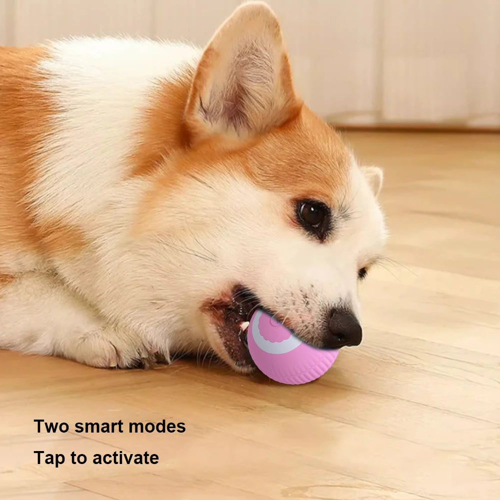 Electric Cat Ball Toys USB Rechargeable Smart Interactive Cat Toy for Cats Training Self-moving Kitten Toys for Indoor Playing