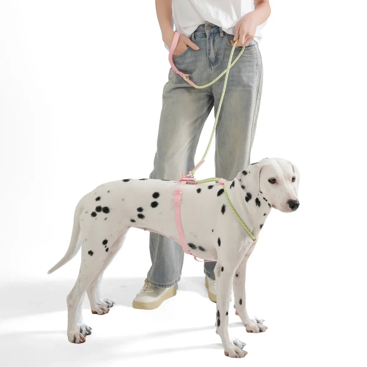 Small And Medium Dogs Harness For Summer Pet dog Walking Running Outdoor Fashion Harness No Pull Safety Reflective Nylon Leashes