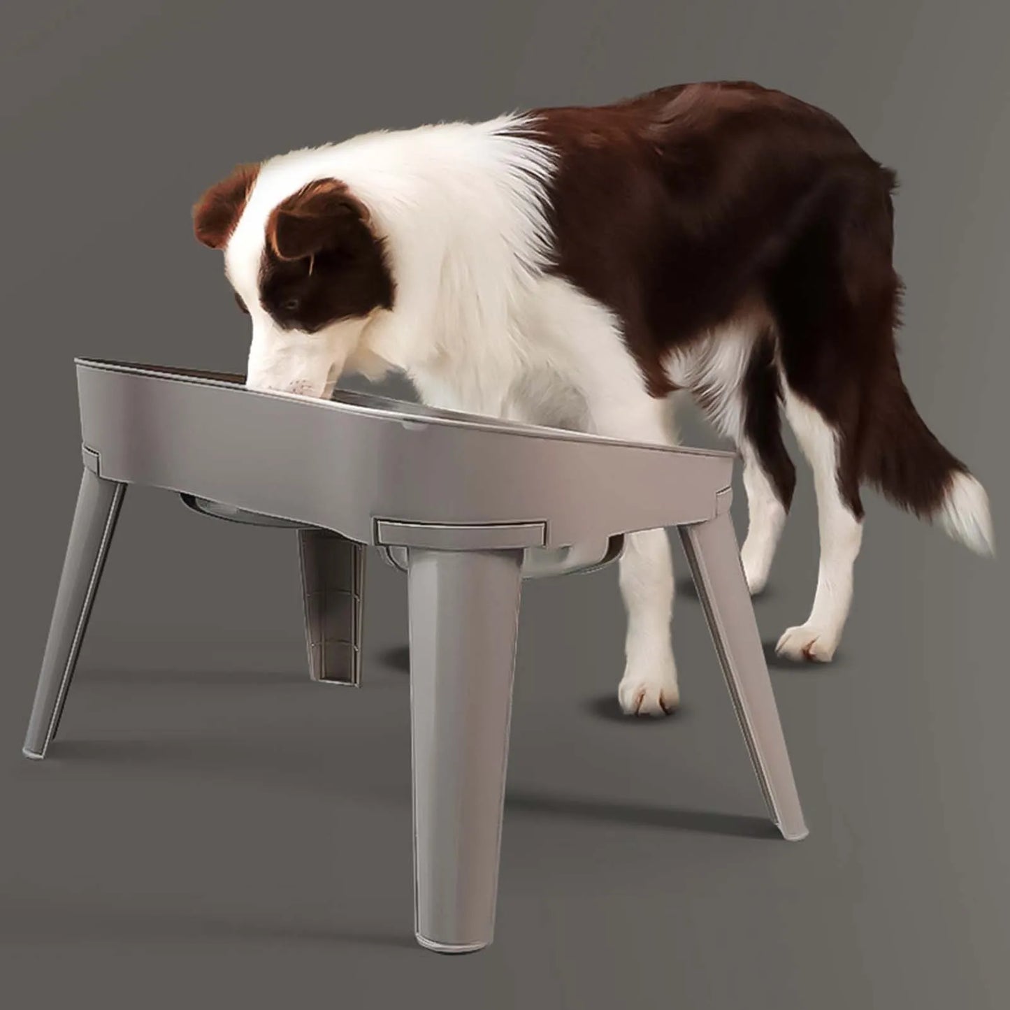 Stainless Steel Elevated Pet Bowl for Dogs and Cats Anti-Slip Raised Food Dish with Non-Skid Base High Sided Pet Feeder