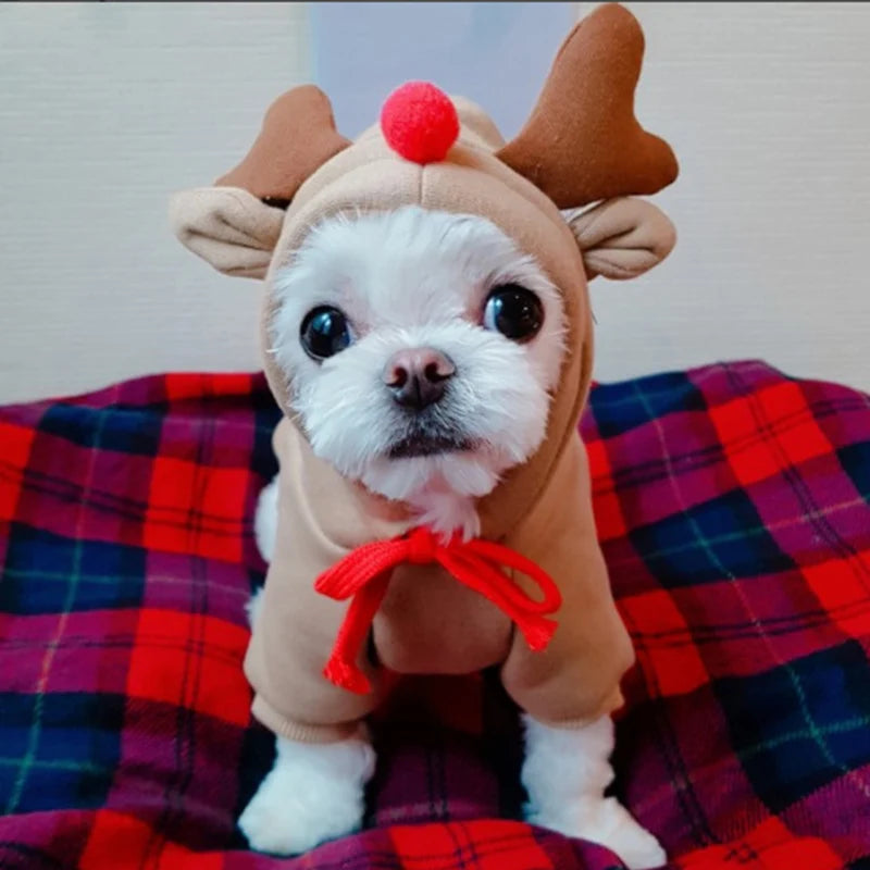 Winter Pet Hoodie Sweater Sports Cat Clothes for Cats Kitten Dog Pullovers Sweatshirt Fruit Animal Cosplay Pets Clothing Costume