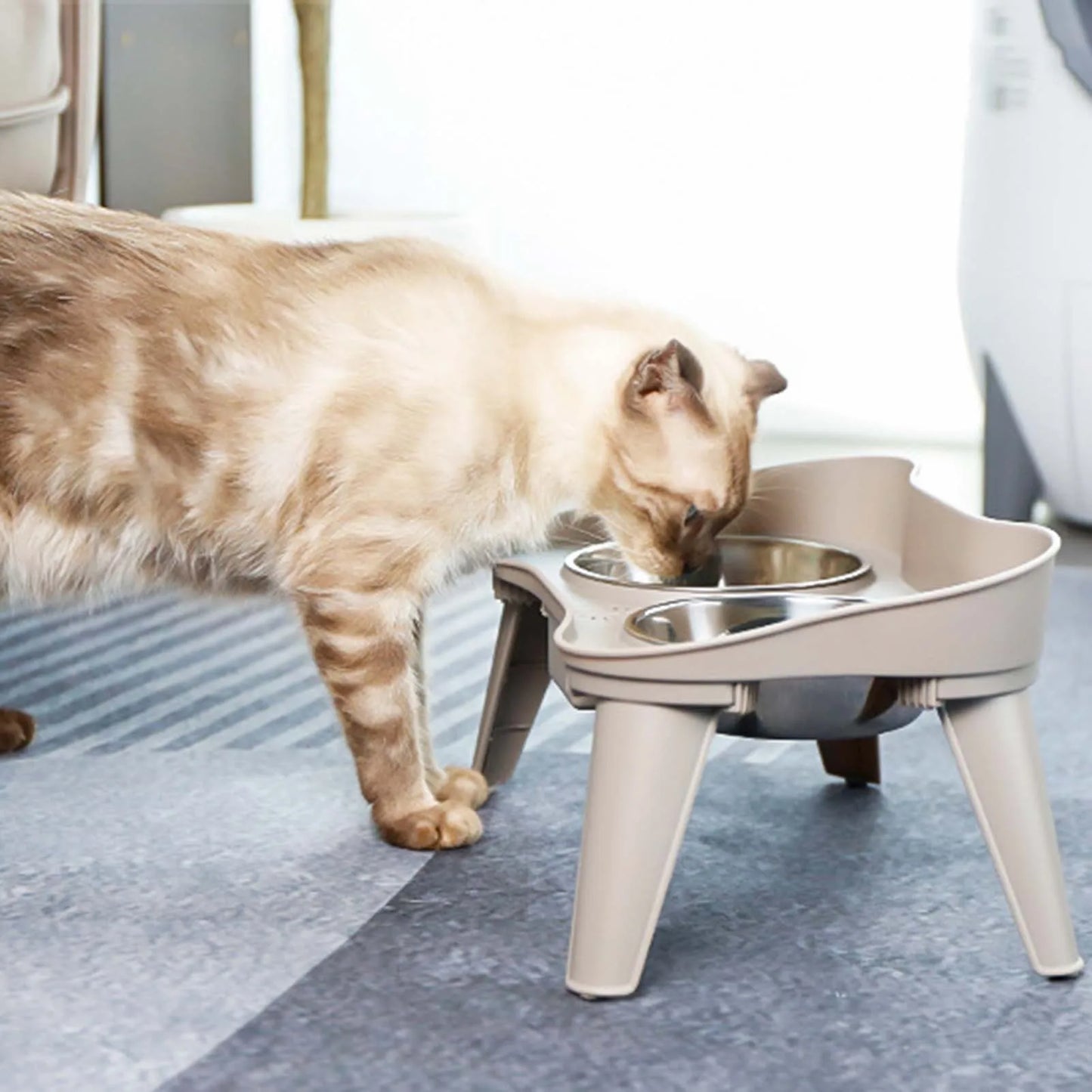 Stainless Steel Elevated Pet Bowl for Dogs and Cats Anti-Slip Raised Food Dish with Non-Skid Base High Sided Pet Feeder