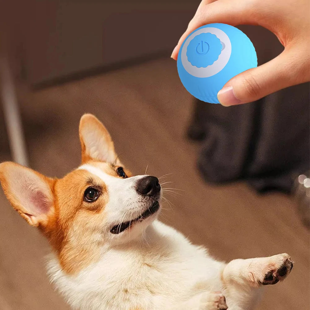 Electric Cat Ball Toys USB Rechargeable Smart Interactive Cat Toy for Cats Training Self-moving Kitten Toys for Indoor Playing